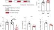 Reference Gene Selection for Expression Analysis of Hepatic Genes Responding to Fasting via Transcriptomic Analysis