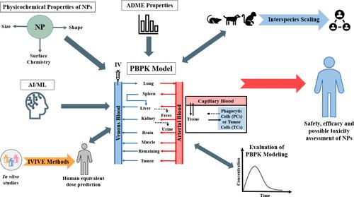 Advances in Physiologically Based Pharmacokinetic (PBPK) Modeling of Nanomaterials