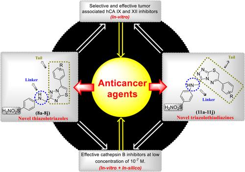 Novel thiazolotriazole and triazolothiadiazine scaffolds as selective tumor associated carbonic anhydrase inhibitors endowed with cathepsin B inhibition