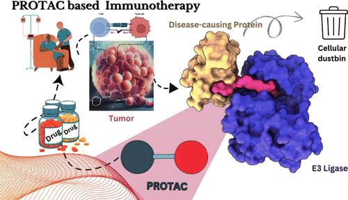 Targeted Protein Degradation (TPD) for Immunotherapy: Understanding Proteolysis Targeting Chimera-Driven Ubiquitin-Proteasome Interactions.