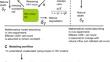 Modelling Role of Protective and Nonprotective HLA Allele Inducing Different HIV Infection Outcomes.