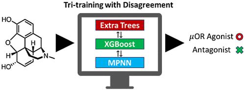 Machine Learned Classification of Ligand Intrinsic Activities at Human μ-Opioid Receptor.