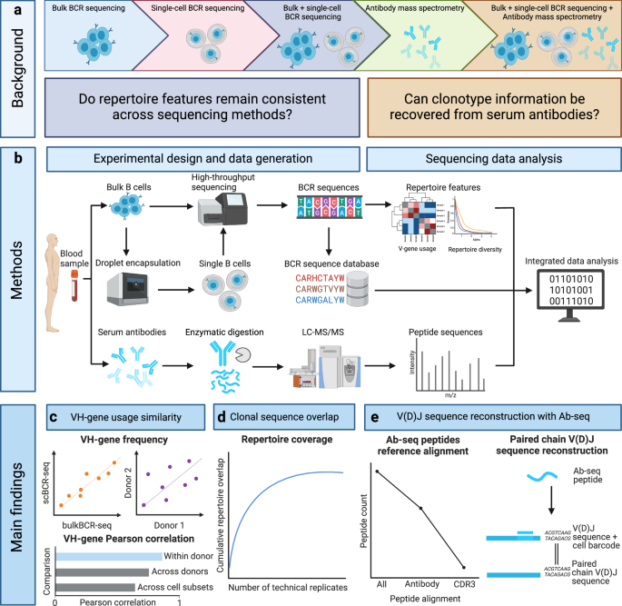 Benchmarking and integrating human B-cell receptor genomic and antibody proteomic profiling.