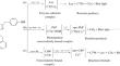 Coelenterazine-Dependent Luciferases: Properties and Application in Molecular Analysis