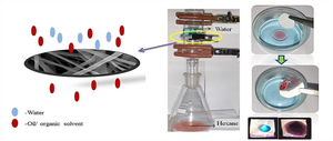 Polyhedral Oligomeric Silsesquioxane Coated Electrospun Nanofibrous PLA Membranes: Properties and Application