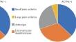 Clinical Features of ACPA-Negative and ACPA-Positive Variants of Rheumatoid Arthritis