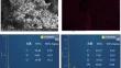 Preparation, characterization and application of the Pb-ion-imprinted polymers based on epoxy resin and polyamide-amine dendrimers