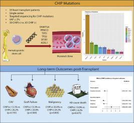 Clonal Hematopoiesis of Indeterminate Potential and Long-term Outcomes in Heart Transplantation