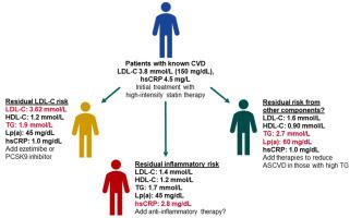 Addressing residual risk beyond statin therapy: New targets in the management of dyslipidaemias–A report from the European Society of Cardiology Cardiovascular Round Table