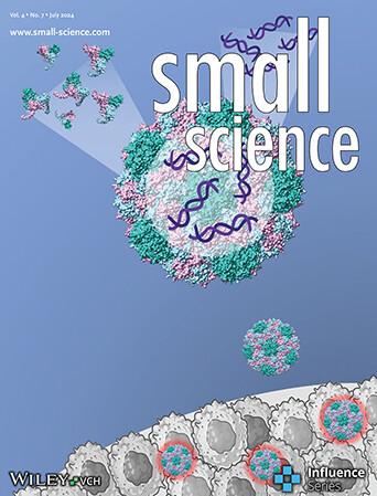 Enhanced Efficacy of a TLR3 Agonist Delivered by Cowpea Chlorotic Mottle Virus Nanoparticles