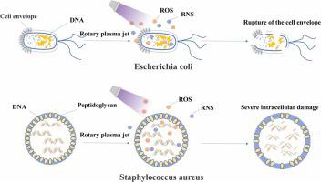 Comparison of inactivation characteristics of Escherichia coli and Staphylococcus aureus in water by rotary plasma jet sterilization