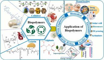 Recent advances in biopolymer synthesis, properties, & commercial applications: a review