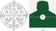 Decoding the Preparation Stage of Target Shooting under Audiovisual Restricted Conditions: Investigating Neural Mechanisms Using Microstate Analysis.