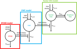 Kinetic Modeling for BT200 to Predict the Level of Plasma-Derived Coagulation Factor VIII in Humans.