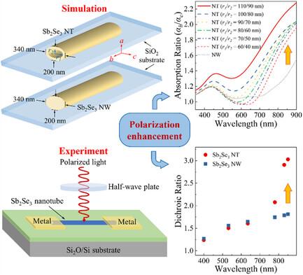 Microcavity-Enhanced Polarization Photodetection in Antimony Selenide Nanotube-Based Near-Infrared Photodetectors