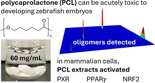 Moldable Plastics (Polycaprolactone) can be Acutely Toxic to Developing Zebrafish and Activate Nuclear Receptors in Mammalian Cells.