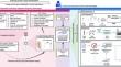 Clinical Metagenomic Next-Generation Sequencing for Diagnosis of Central Nervous System Infections: Advances and Challenges.