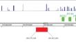 Homeotic DUX4 Genes Shape Dynamic Inter-Chromosomal Contacts with Nucleoli in Human Cells.