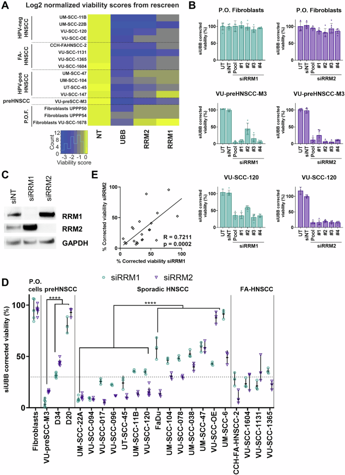 Gemcitabine as chemotherapy of head and neck cancer in Fanconi anemia patients.