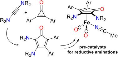 2,3-Diamino-4,5-diarylcyclopentadienone iron carbonyl complexes as catalysts for reductive amination reactions†