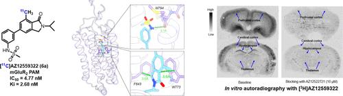 Radiosynthesis and Evaluation of 11C-Labeled Isoindolone-Based Positive Allosteric Modulators for Positron Emission Tomography Imaging of Metabotropic Glutamate Receptor 2