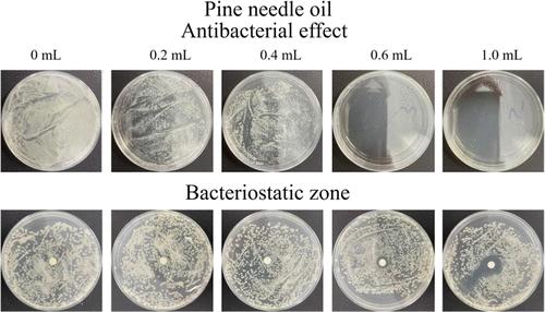 Application of Natural Antibacterial Plants in the Extraction of Uranium from Seawater.