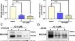 CRISPR-Cas9-mediated deletion enhancer of MECOM play a tumor suppressor role in ovarian cancer