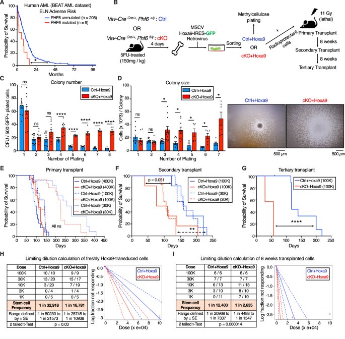 PHF6 suppresses self-renewal of leukemic stem cells in AML