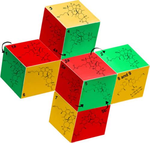 Characterization of Sesquiterpene Dimers from the Flowers of <i>Inula japonica</i> and the Structural Revisions of Related Compounds.