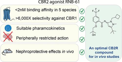 A Highly Potent, Orally Bioavailable Pyrazole-Derived Cannabinoid CB2 Receptor- Selective Full Agonist for In Vivo Studies