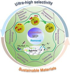 Application of molecularly imprinted polymers in the water environmental field: A review on the detection and efficient removal of emerging contaminants