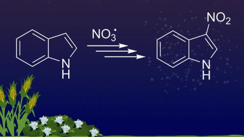 Isomeric Identification of the Nitroindole Chromophore in Indole + NO3 Organic Aerosol