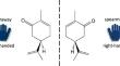 First evidence for chiral wobbling of triaxial nuclei