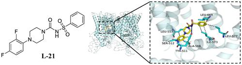 Novel phenylpiperazine derivatives as potent transient receptor potential vanilloid 1 antagonists