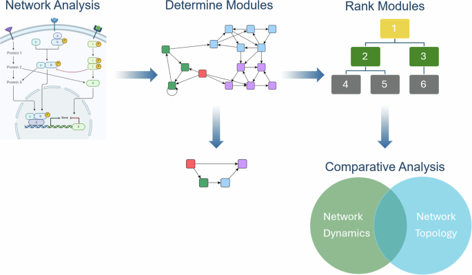 Cancer mutationscape: revealing the link between modular restructuring and intervention efficacy among mutations.