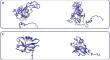 Characterization of 13 Novel Genetic Variants in Genes Associated with Epilepsy: Implications for Targeted Therapeutic Strategies.