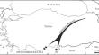 The Impact of the Anatolian Diagonal on Biodiversity in Turkey: A Geometric Morphometric Study on the Wing Morphology of Platycnemis dealbata (Insecta: Odonata)