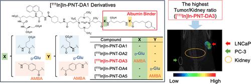 Effect of Linker Entities on Pharmacokinetics of 111In-Labeled Prostate-Specific Membrane Antigen-Targeting Ligands with an Albumin Binder