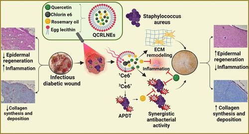 Multifunctional Nanosystem for Dual Anti-Inflammatory and Antibacterial Photodynamic Therapy in Infectious Diabetic Wounds.