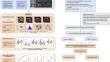 Ultra-high b-value DWI in rectal cancer: image quality assessment and regional lymph node prediction based on radiomics.