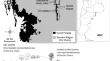 Determinants of bird beta diversity patterns in a landscape with a relict habitat in northern Argentina