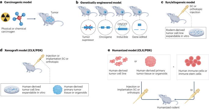 OBSERVE: guidelines for the refinement of rodent cancer models