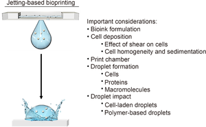 Jetting-based bioprinting: process, dispense physics, and applications