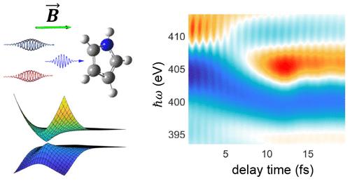 Direct Probe of Conical Intersection Photochemistry by Time-Resolved X-ray Magnetic Circular Dichroism.