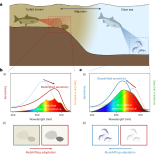 Bioinspired in-sensor spectral adaptation for perceiving spectrally distinctive features