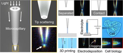 Visualization of Microcapillary Tips Using Waveguided Light.