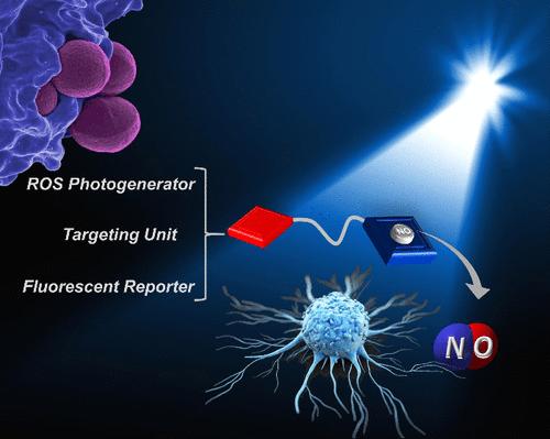 Multifunctional Molecular Hybrids Photoreleasing Nitric Oxide: Advantages, Pitfalls, and Opportunities.