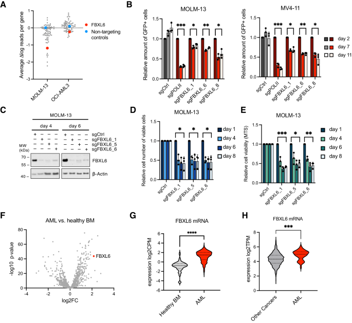 FBXL6 is a vulnerability in AML and unmasks proteolytic cleavage as a major experimental pitfall in myeloid cells