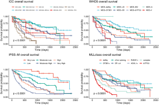 Validation of independent prognostic significance of blast count in a large cohort of MDS patients