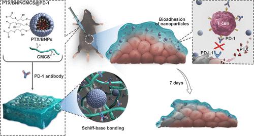 Injectable Nanocomposite Hydrogels Improve Intraperitoneal Co-delivery of Chemotherapeutics and Immune Checkpoint Inhibitors for Enhanced Peritoneal Metastasis Therapy.